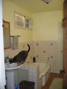 Master Bathroom (and Sophie!)